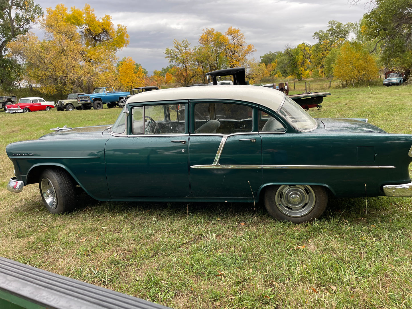 1955 Chevy