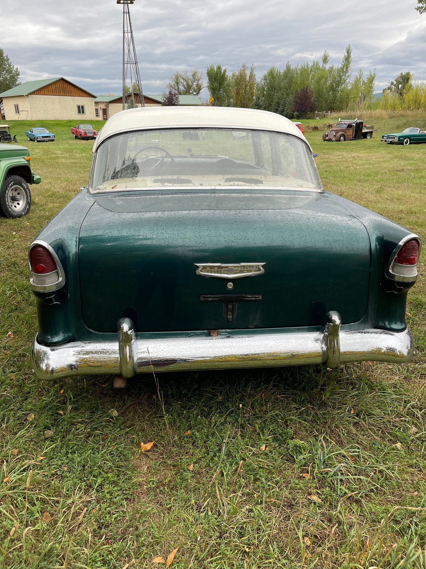 1955 Chevy